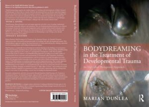 BodyDreaming book cover image